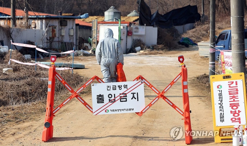 평택 돼지농장서 아프리카돼지열병 발생 (평택=연합뉴스) 권준우 기자 = 20일 아프리카돼지열병(ASF)이 발생한 경기도 평택시 한 돼지농장에서 관계자들이 출입을 통제하고 있다.      아프리카돼지열병 중앙사고수습본