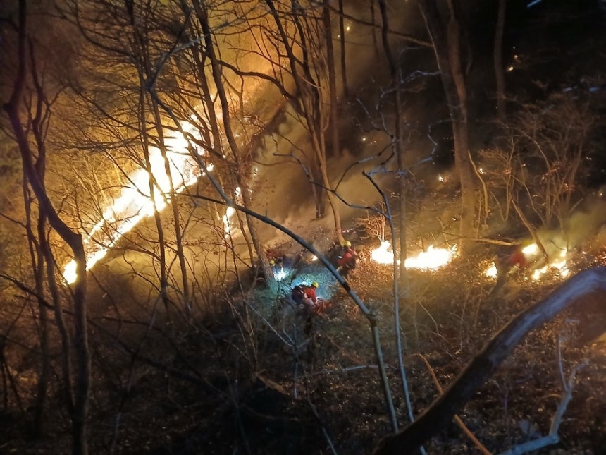 함양 산불 진화 작업 본격 시작