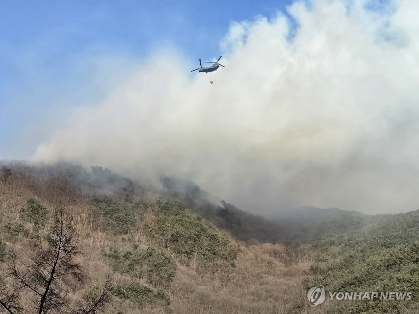 함양 산불 진화 작업 본격 시작