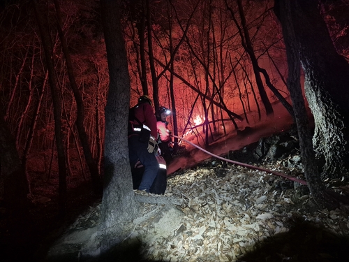 밀양 산불 진화율 51%