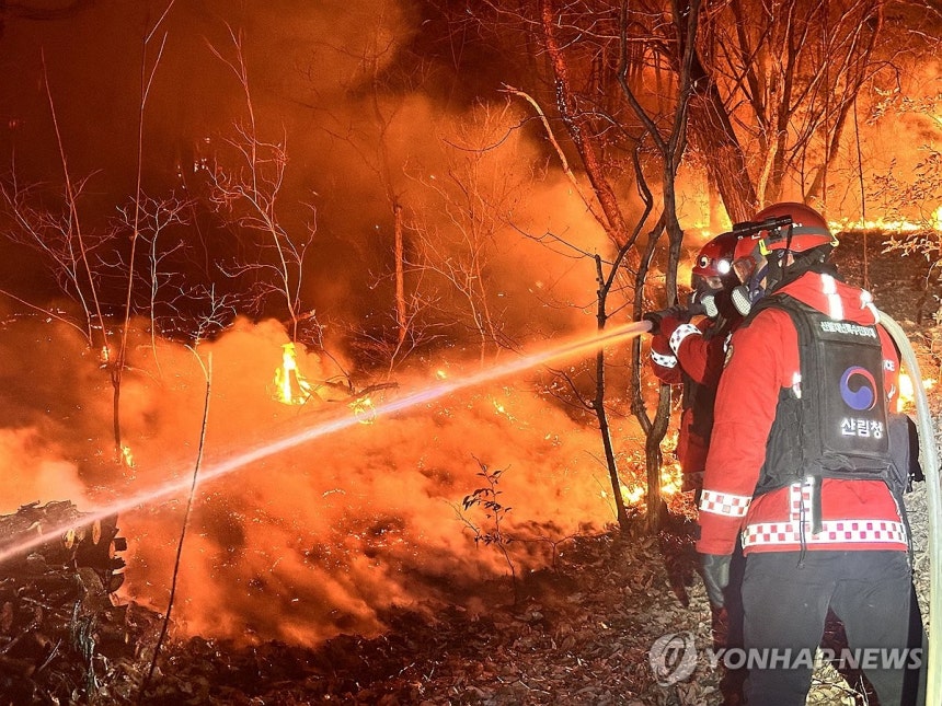 밀양 산불 진화 나선 산림당국 (밀양=연합뉴스) 24일 산림당국이 경남 밀양시 삼랑진읍 검세리에서 전날부터 발생한 산불을 끄기 위해 야간 진화 작업을 하고 있다. 2026.2.24 [산림청 제공. 재판매 및 DB 금