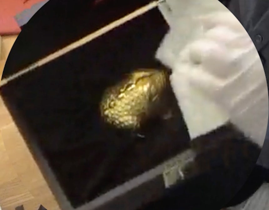 자택 수색 중 발견된 금두꺼비 (세종=연합뉴스) 이대희 기자 = 체납자 G씨 자택 수색에서 발견된 황금두꺼비. [국세청 제공. DB 및 재판매 금지]