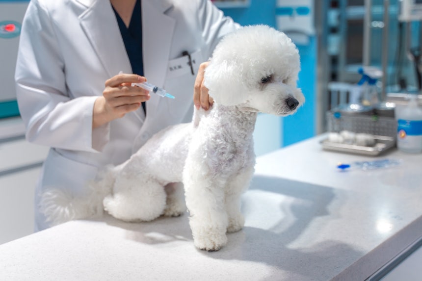 '�츮���� ��������' �ݷ����� ����
[����� ����. ���Ǹ� �� DB ����]