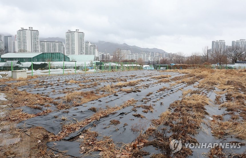 정부,사상 첫 '농지 전수조사' 추진…수도권 투기위험군 중점 (과천=연합뉴스) 류영석 기자 = 정부가 전국 농지 소유자를 대상으로 처음으로 전수조사를 벌이는 방안을 추진 중인 가운데 2일 수도권 내 한 농지 너머로