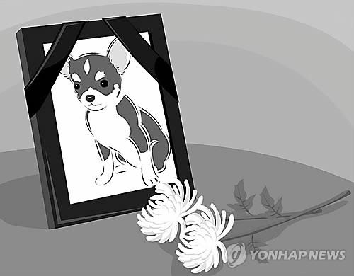 반려동물 장례(일러스트) 편집 김민준 아이클릭아트 그래픽 사용