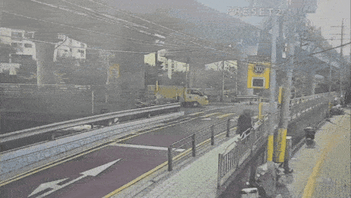 바지 임대인 A씨와 A씨의 도주를 도운 지명수배자 [서울경찰청 제공. 재판매 및 DB금지]