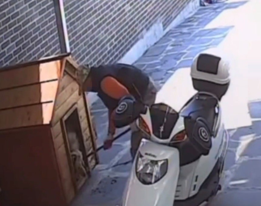 무단 침입해 반려견 끌고 가는 A씨 [동물구조단체 유엄빠 제공. 재판매 및 DB 금지]