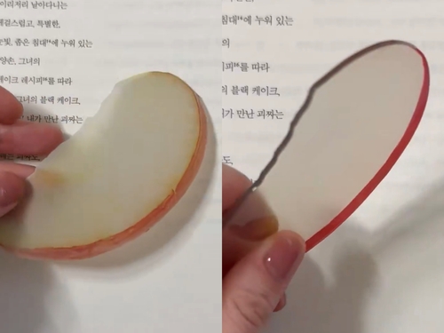 자신이 만든 사과 모양 책갈피(왼쪽)와 C커머스 책갈피를 비교하는 게시물
[엑스 계정 'OKTO_LEE' 캡처. 재판매 및 DB 금지]