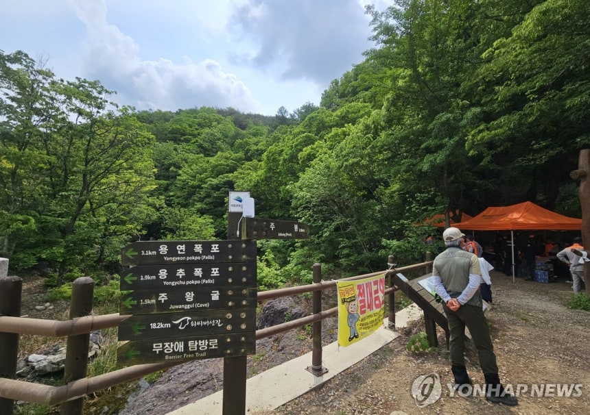 주왕산 기암교에서 바라본 주봉 등산로 (청송=연합뉴스) 김선형 기자 = 실종된 초등학생이 숨진 채 발견된 12일 경북 청송군 주왕산국립공원 기암교에서 수색 당국이 주봉으로 이어지는 길목에 현장 본부를 차려두고 있다.