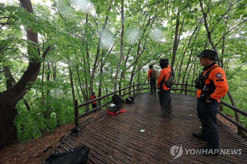초등생 실종된 주왕산…수습 난항에 애타는 마음 (청송=연합뉴스) 윤관식 기자 = 실종된 초등학생이 숨진 채 발견된 12일 경북 청송군 주왕산국립공원에서 소방 구조대가 가파른 지형과 수풀로 뒤덮인 수습 현장 쪽을 바라