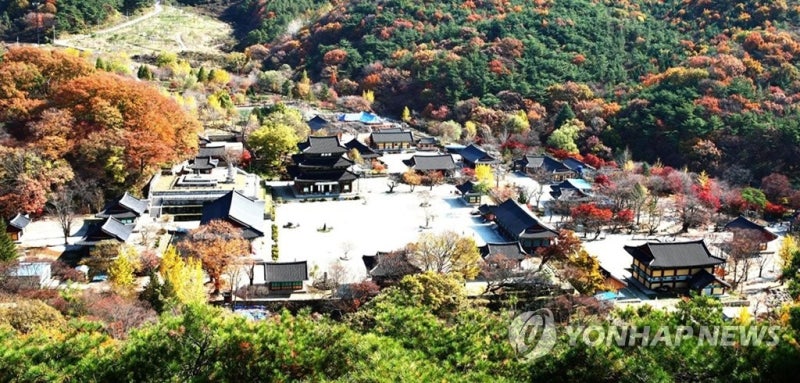 사찰 공사 따내려고 1억 뒷돈? 금산사 전 주지 결국 구속기소