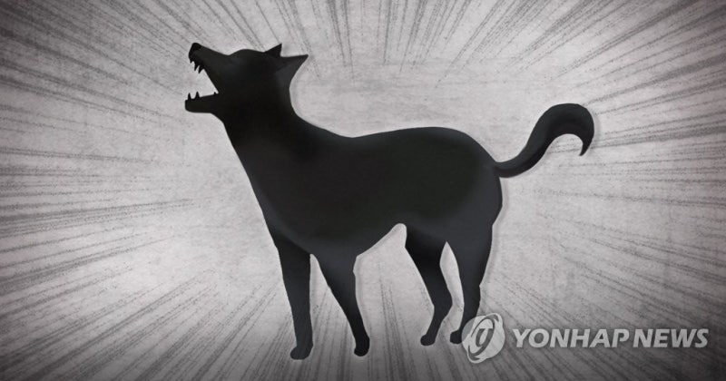 약속 늦었다고…아파트 15층서 강아지 집어던진 20대 집유