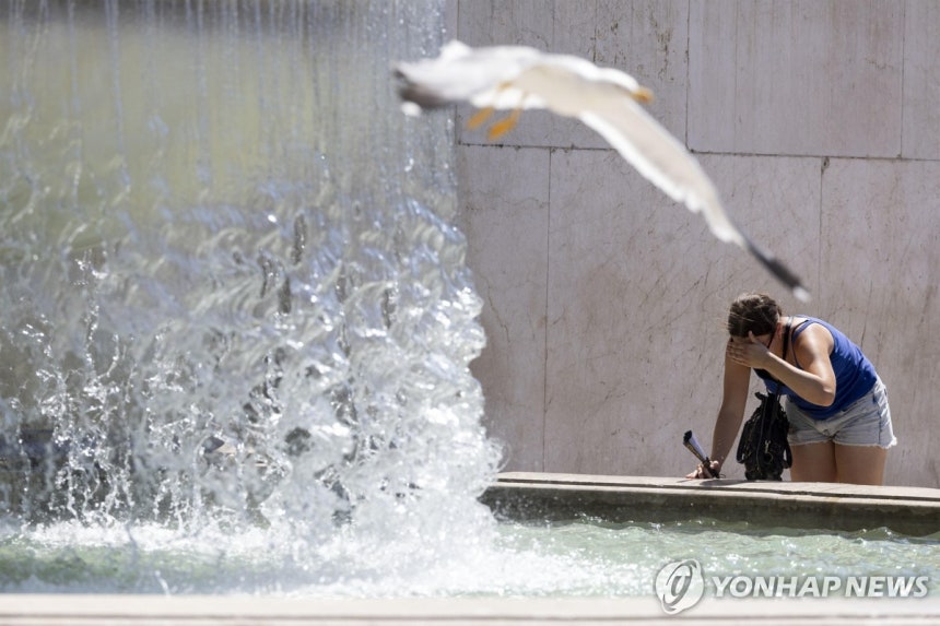 로마 분수대에서 더위 식히는 사람 [EPA=연합뉴스 자료사진.재판매 및 DB 금지]