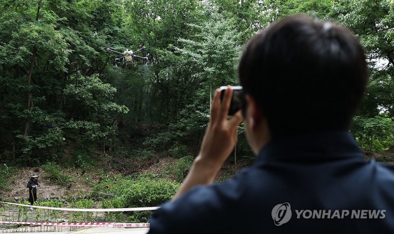 살수드론 이용한 러브버그 방제 시연