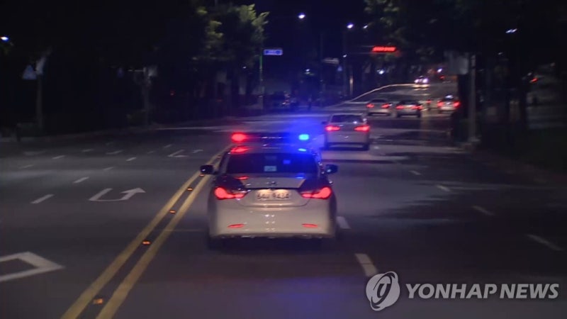 "도로에 사람 쓰러졌다"…출동 순찰차, 구조대상자 밟아 사망