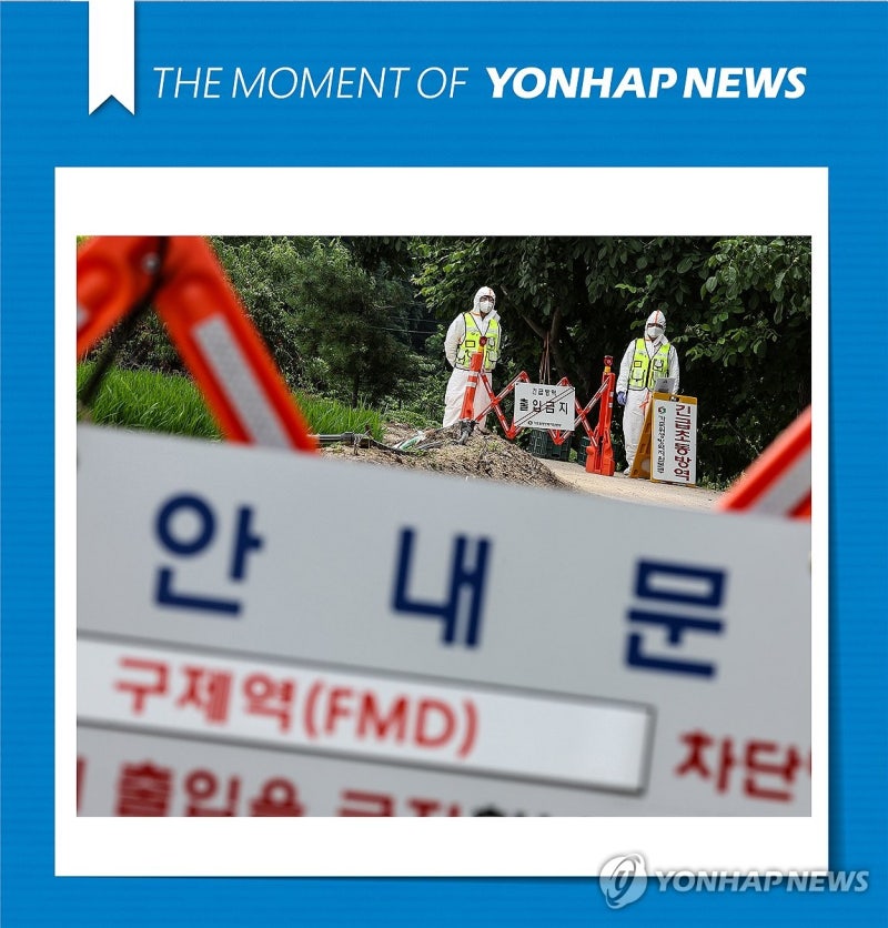 [모멘트] 경북 예천서 <b>구제역</b> 발생