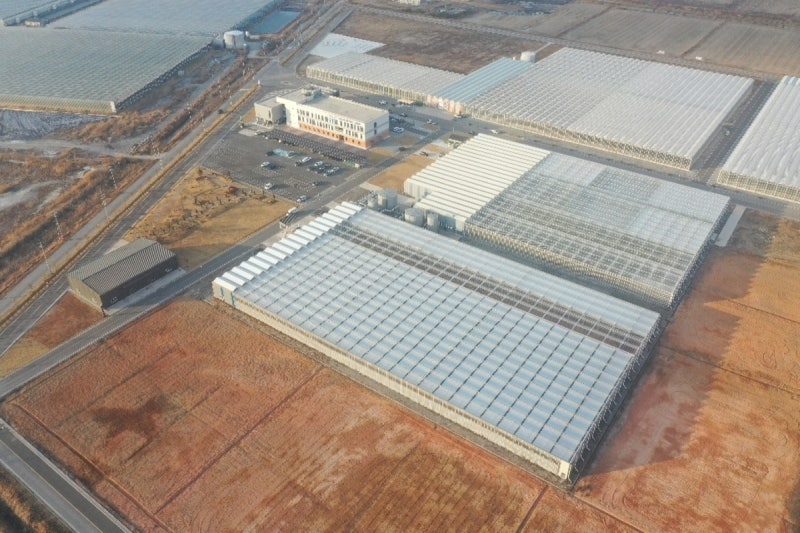 <b>전남광주</b>, AI 영농형 태양광 스마트팜 실증사업 추진