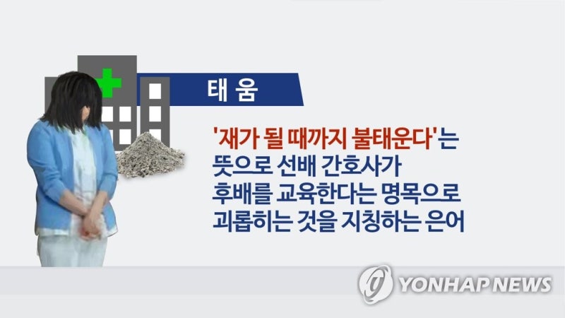 [재가 된 꿈] ①"우리집 개도 너보다 말 잘 들어"…대통령까지 나선 간호계 비극