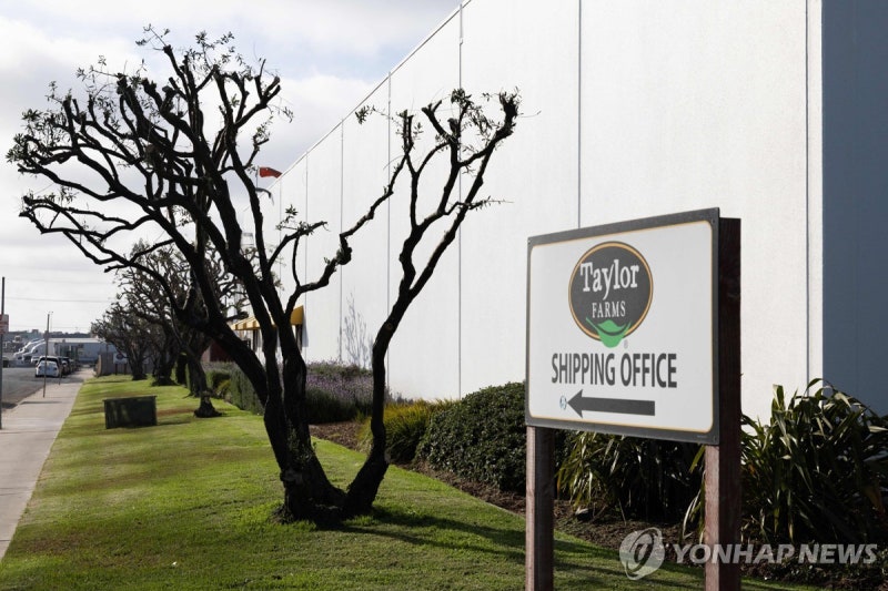 타코벨 기생충 범인 양상추 아니라네, 그럼 대체 정체가 뭐야