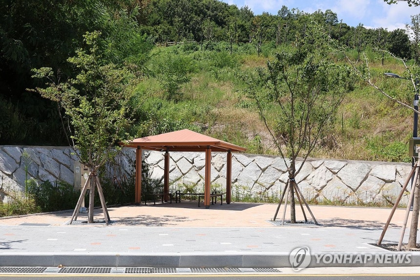 텅 빈 정자 (포항=연합뉴스) 손대성 기자 = 폭염중대경보가 발효된 1일 경북 포항시 북구 학산근린공원에 오가는 사람이 없어 정자 아래 의자가 텅 비어 있다.2026.8.1 