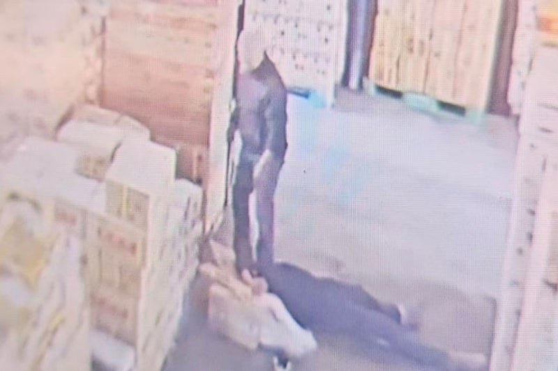 사장 장난 한 번에 직원이 5m 아래로 떨어졌다