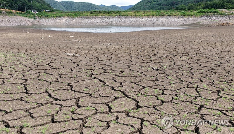 <b>광복절</b> 연휴에 드디어 비 온다…경남 등 남부·제주에 '단비'