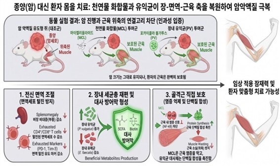 <b>암</b> 환자 생명 위협하는 '<b>악액질</b>'…장내 미생물로 잡는다