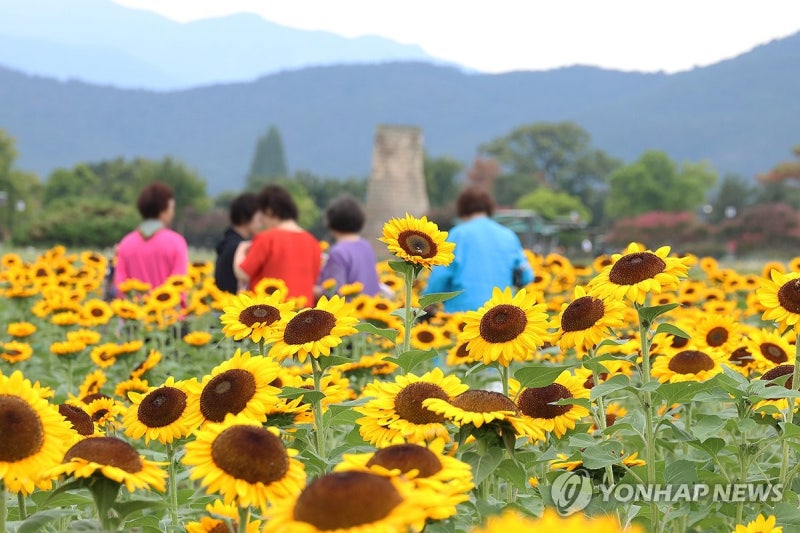 전국 찜통더위에 광주 35도 육박, 오늘 우산 챙겼냐?