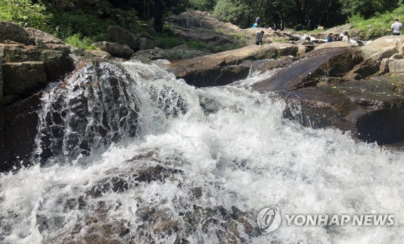 <b>팔공산</b> 계곡 70년 불법<b>기도터 철거</b>했더니…담비·참매 돌아왔다