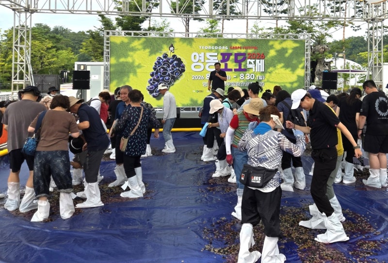 '보랏빛 맛의 유혹' <b>영동포도축제</b> 개막…30일까지 열려