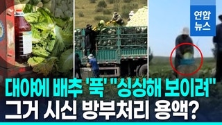 中, '<b>포름알데히드 배추</b>' 관련자 3명 붙잡아 수사중