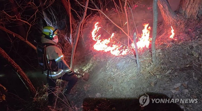 '산불카르텔' <b>유령업체</b> 동원 '메뚜기 <b>입찰</b>' 10곳 세무조사