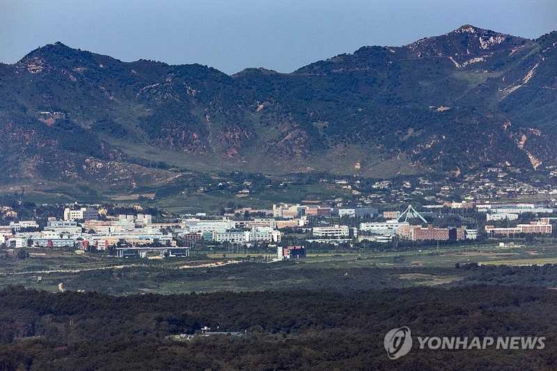 DMZ 수색로 작업 중 폭발 사고 발생… 북한 매설 지뢰 가능성은?