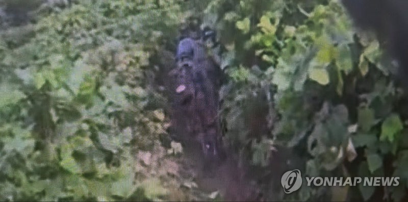 軍, <b>DMZ</b> 현장조사 돌입…<b>폭발</b>지점 도달 못해 추가조사 예정