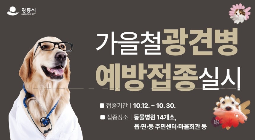 광견병 예방접종 [강릉시 제공.재판매 및 DB 금지]