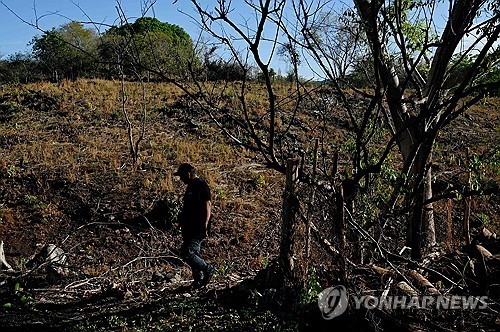 온두라스 가뭄 [AFP=연합뉴스]