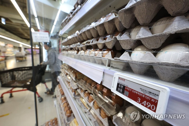 농식품부 "브라질산 <b>계란</b> 구매가보다 운임·관세 비용 커"(종합)