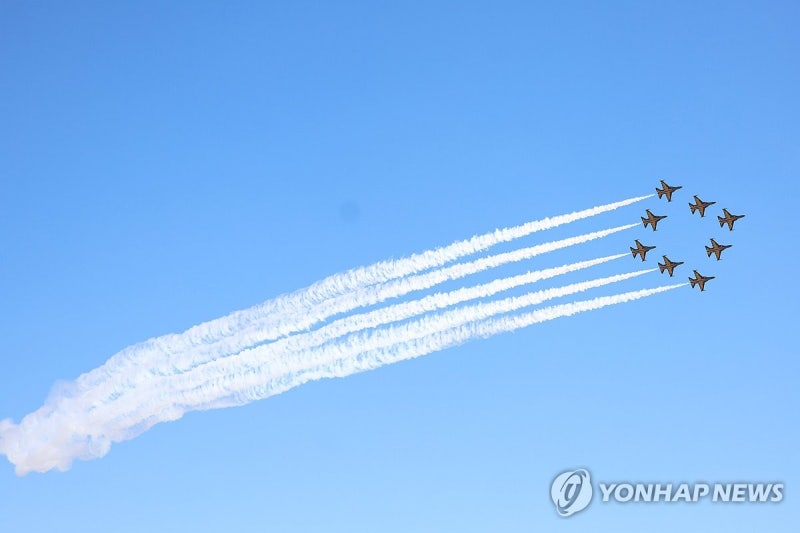 블랙이글스 특수비행