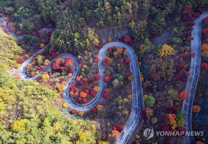 만산홍엽 <b>단양 보발재</b>