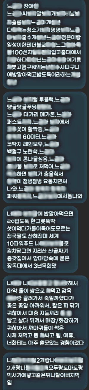 ▲넥슨 집게손 마녀사냥 피해자 A씨가 'X'를 통해 전달받은 성적 모욕 발언. A씨 측은 해당 메시지를 통신매체이용음란 혐의로 고소했으나 서초경찰서는 수사 계속의 실익이 없다는 이유로 각하 처분을 내렸다. ⓒ프레시안