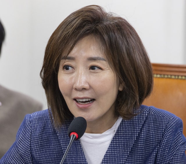 <b>나경원</b> '<b>우크라 감사 서한</b>'에 민주당 "어느나라 의원이냐…항복선언" 비...