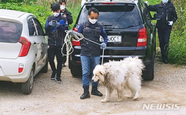 [유머] [기타]             남양주 야산 입구에서 50대 여성 습격한 대형견 ,,, -  와이드섬