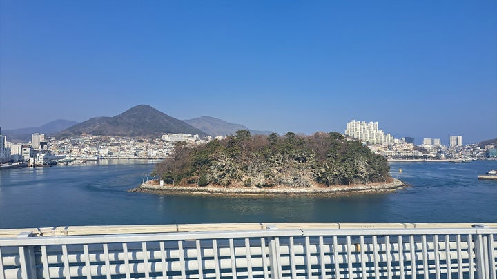 민물가마우지떼 똥, <b>여수</b> <b>장군도</b> 숲 하얗게 오염됐다