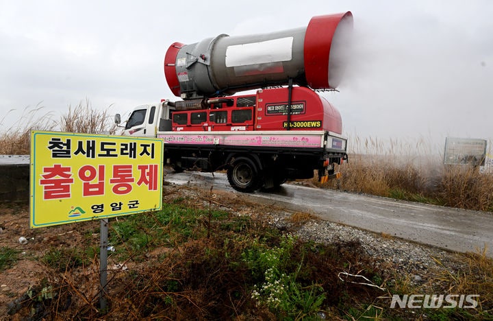 <b>광주</b> 기러기농장서 <b>고병원성</b> AI 발생… 9년 만