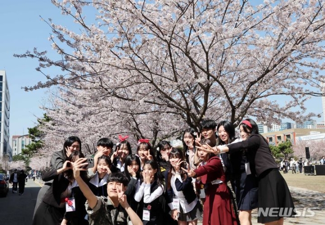 조기박사 이미지