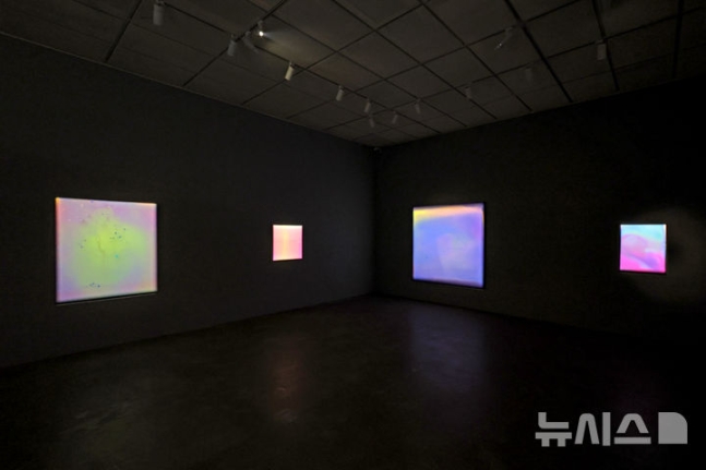 [서울=뉴시스] 박진희 기자 =서울 종로구 리안갤러리 서울에서 열린 김택상 개인전 'Time Odyssey(타임 오딧세이)'에 선보인 신작 'FLOW' 전시 전경. 2024.08.26. pak7130@newsis.c