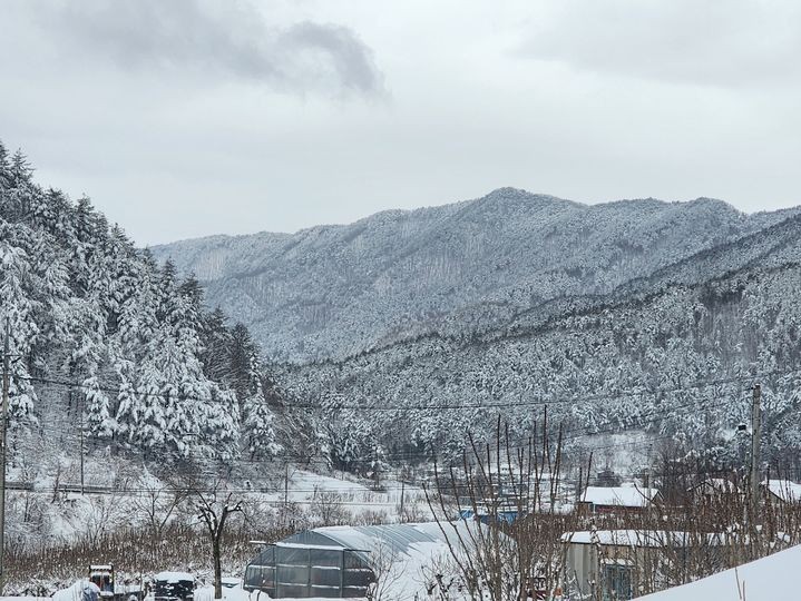 [gangneung = newsis]在第三名，Gangneung -Si，Gangwon -Si，Gangneung -si，被給出了沉雪的新聞，Wangsan -Myeon的地區變成了雪地市場。