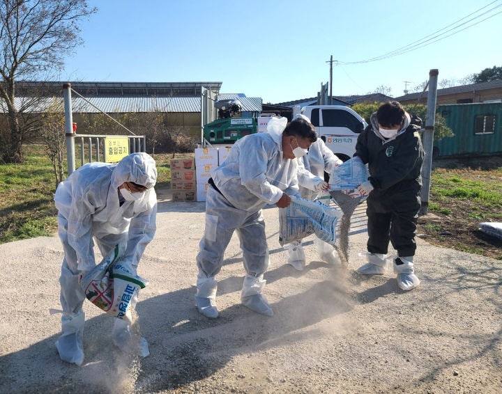 <b>전남</b>농협, <b>구제역</b>차단 총력…가용자원 총동원 영암 <b>방역</b>