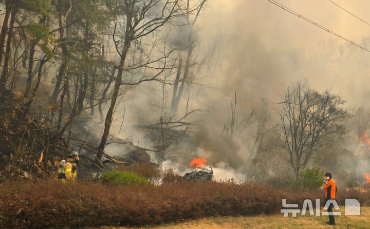 Korean news article image