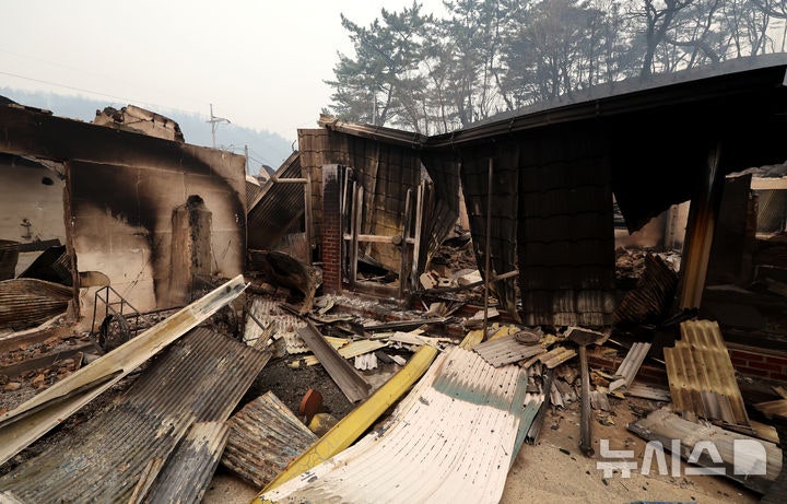 Korean news article image